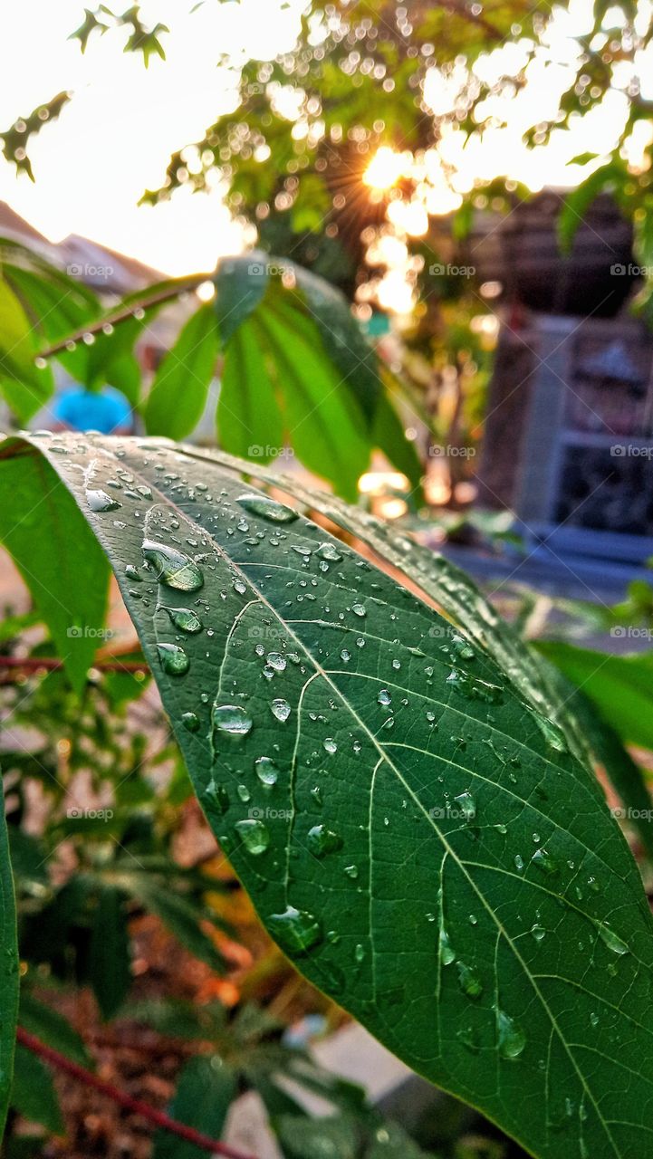 after the first rain