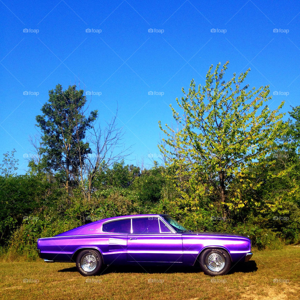 car purple classic ohio by detrichpix