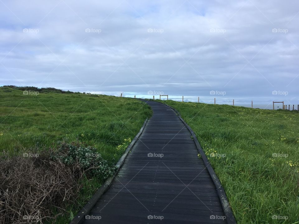 Long trail