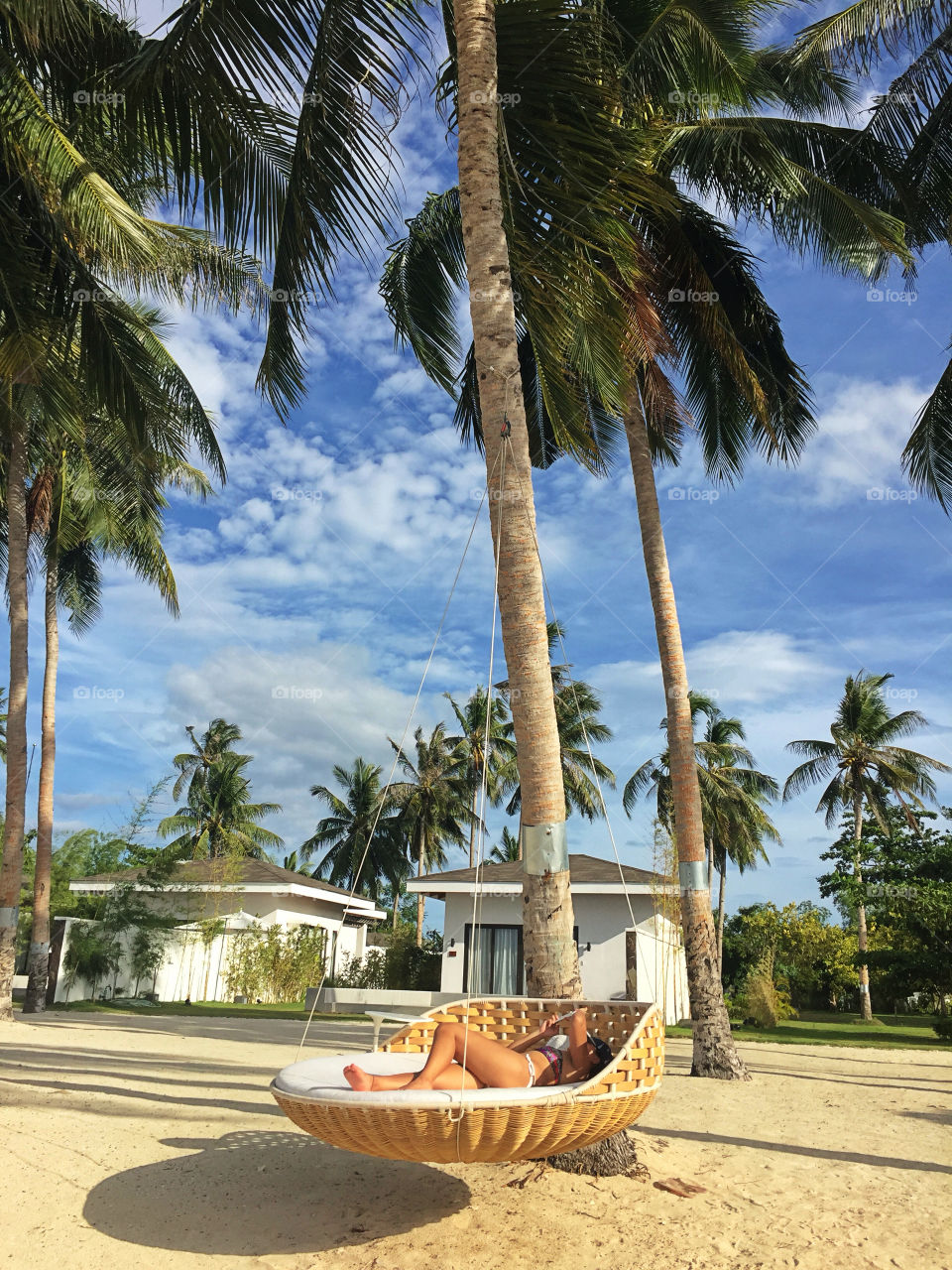 Beach, Palm, Sand, No Person, Tropical