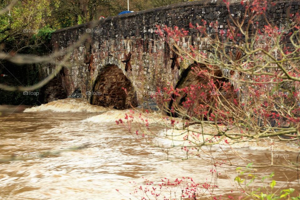 Bickleigh bridge