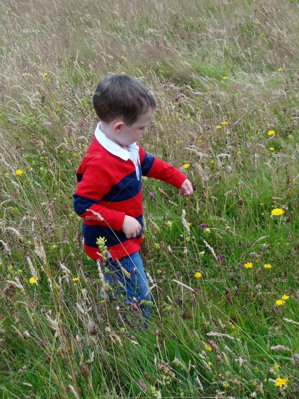 Picking grass 