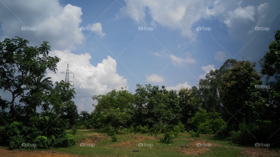 making beautiful nature with cloudy sky.
