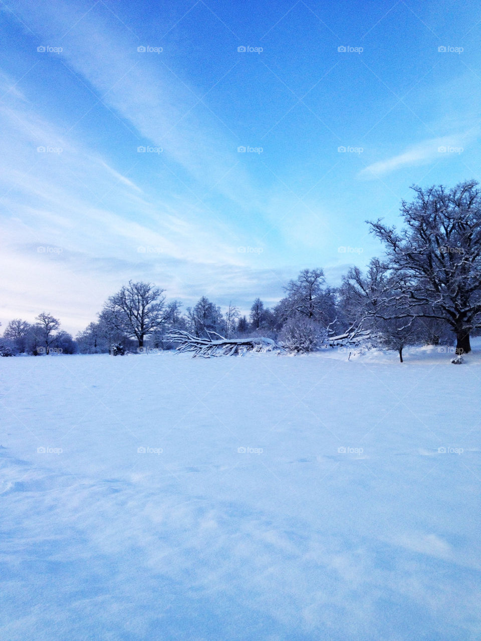 snow winter sky blue by joosse_b