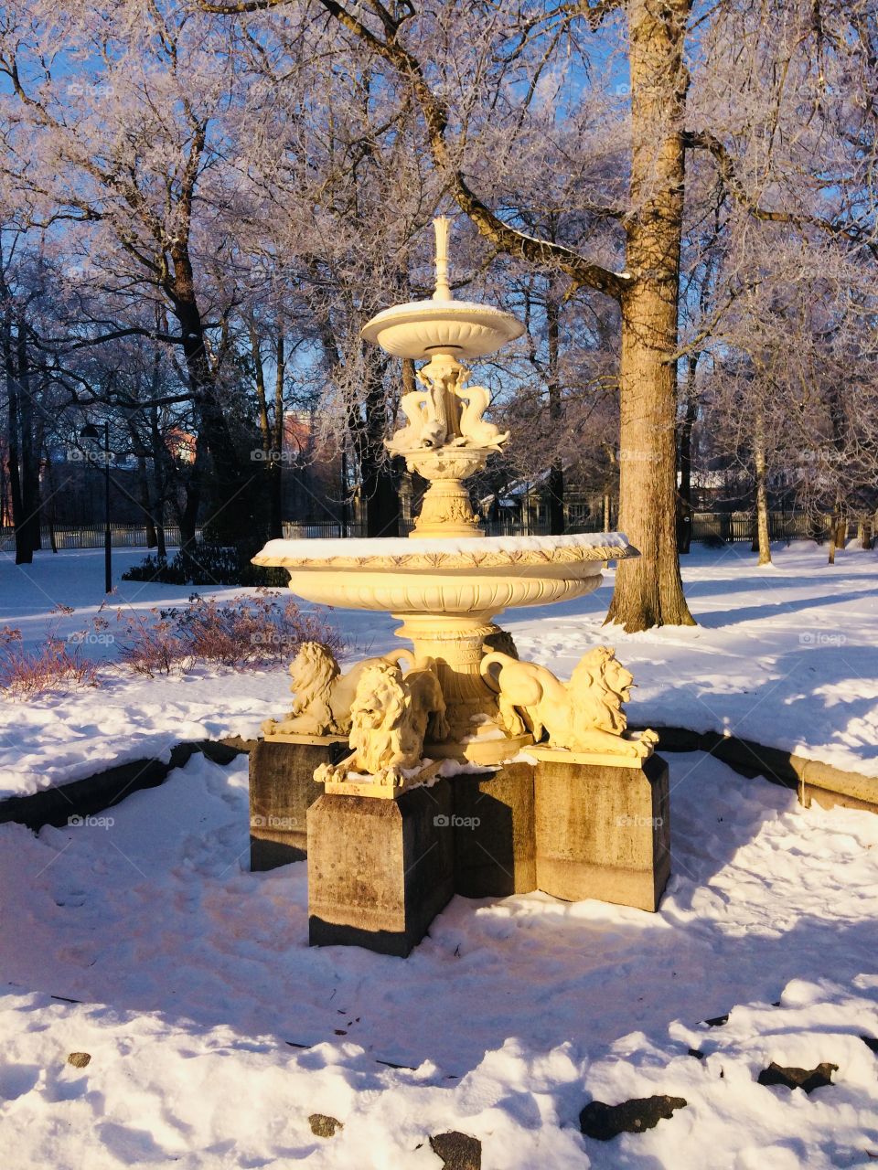 A fountain in a park on a frosty morning