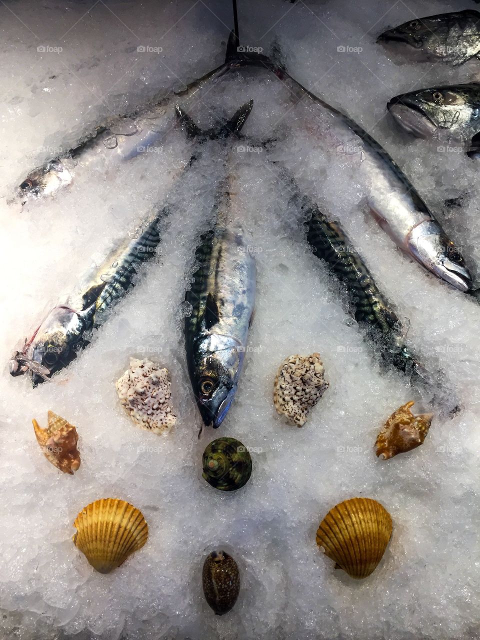 Fish for sale at the local fish market in Lonsdale Quay in North Vancouver, British Columbia 