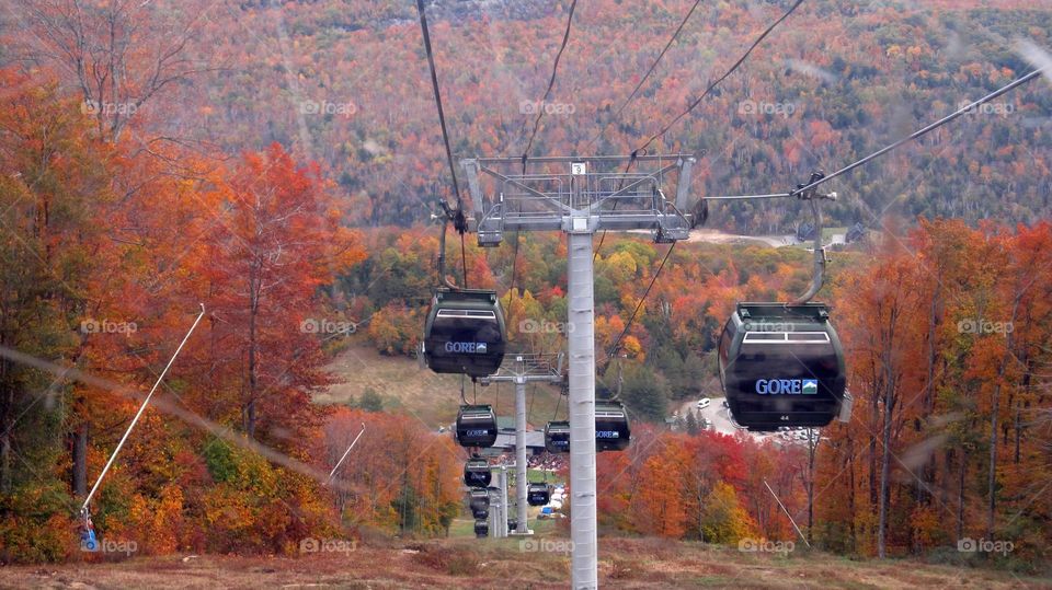 Gondolas