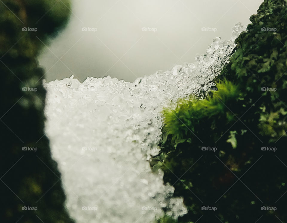 Snow Closeup
