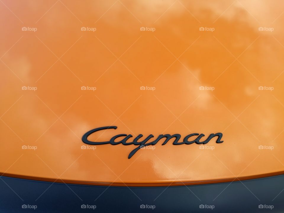 Cayman logo