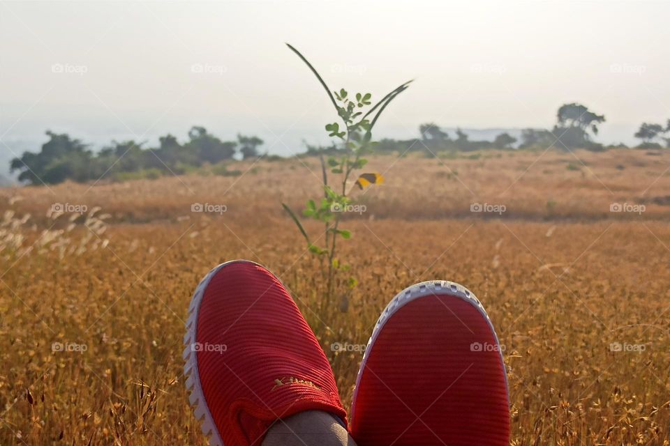 walk in nature