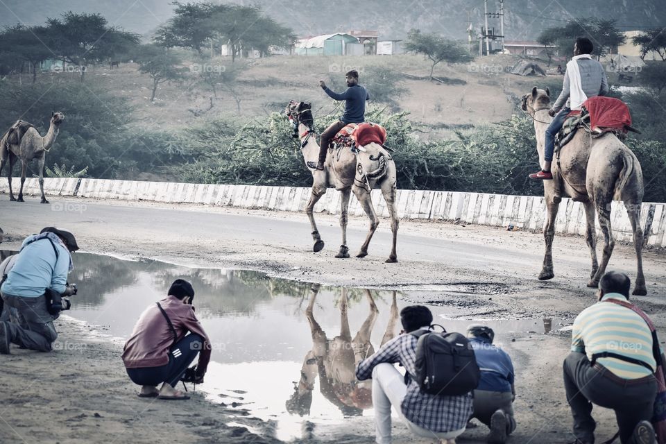 Pushkar camel fair , Photographers click picture with reflection 