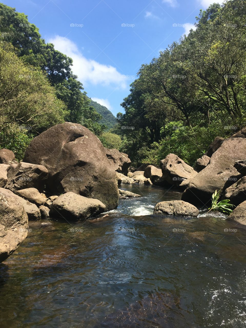 Hike to Halawa Falls