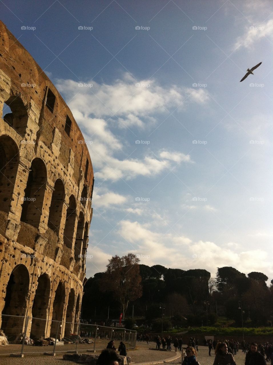 Roma, Colosseo.