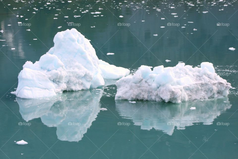 Icebergs floating on water