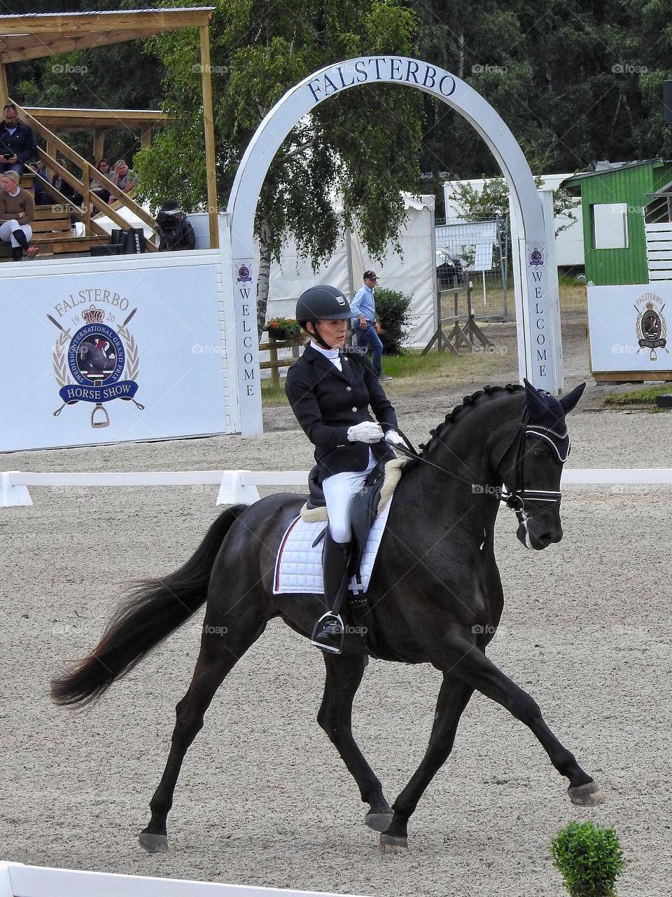 Dressage trotting 