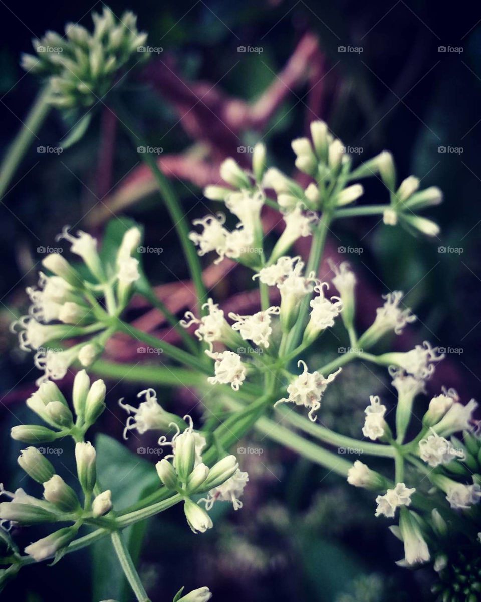 It's a new timeframe