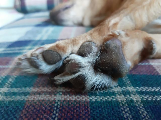 best sleep