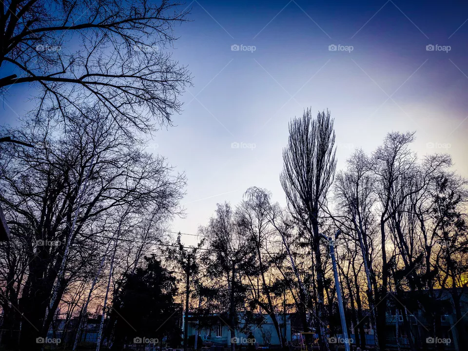 evening