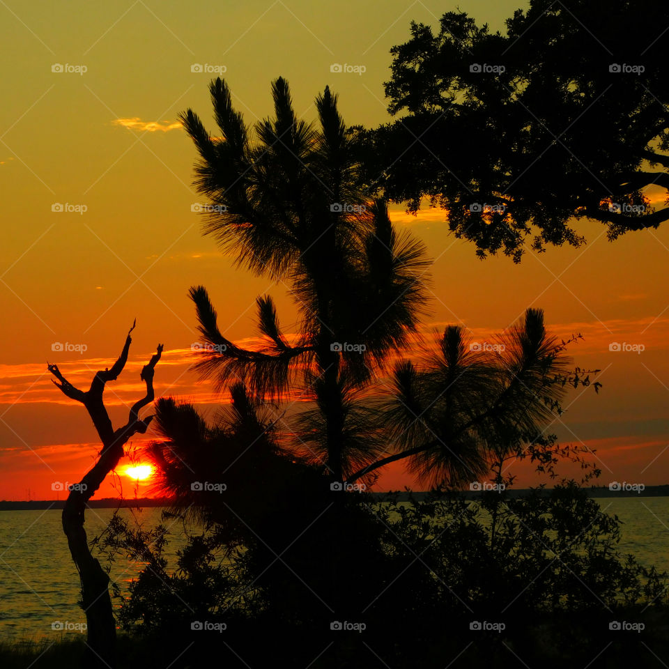 The sky was filled with the most brilliant orange complimented perfectly with hues of gold, yellow, red and crimson. An orange haze had casted over the water, reflecting off every wave. Finally,the sun disappears along with the shine. I can only wait to see another magical moment of beauty and warmth! I can only wait for another sunset! Enjoy!