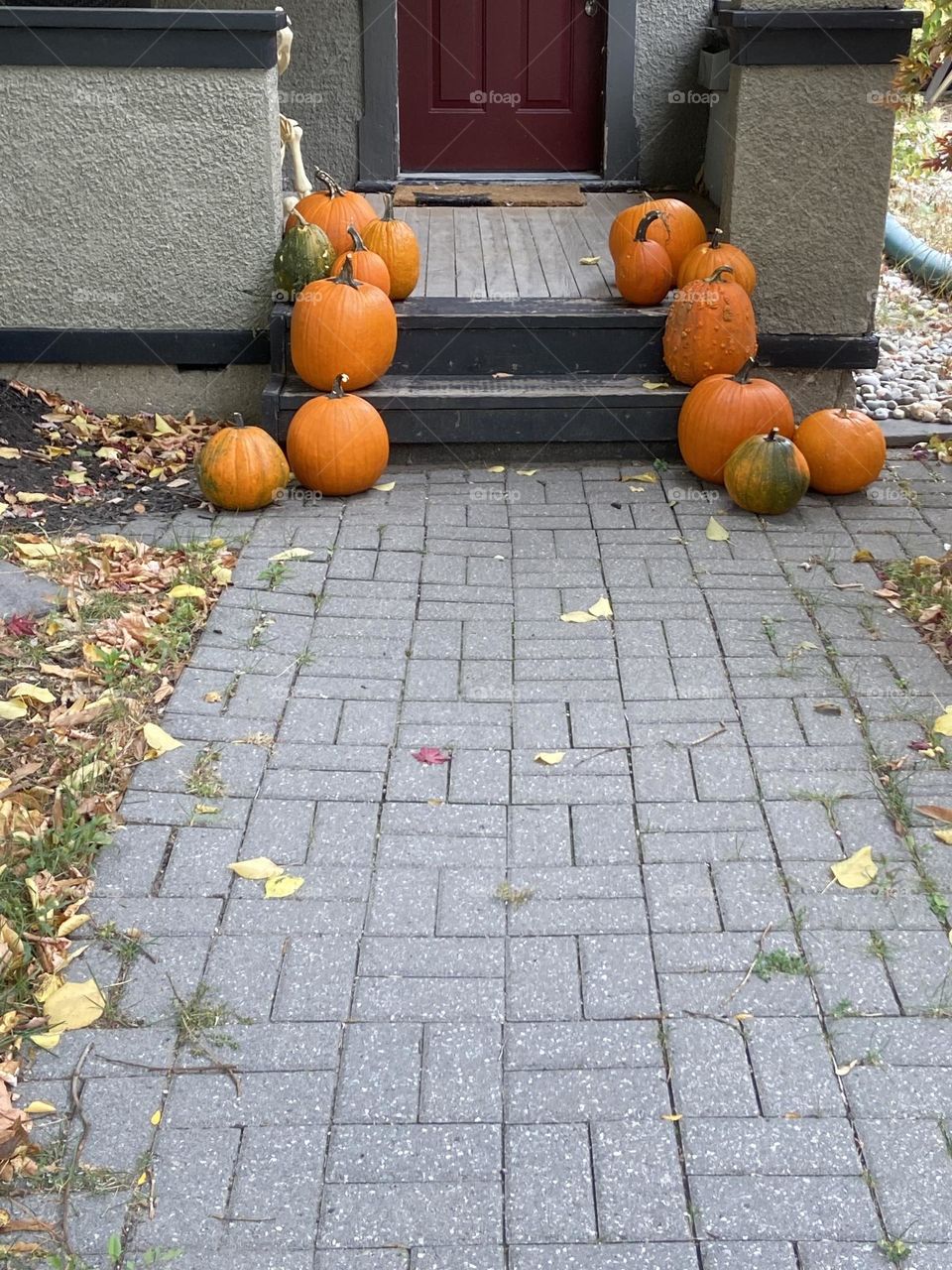 Rows of pumpkins on the stairs 