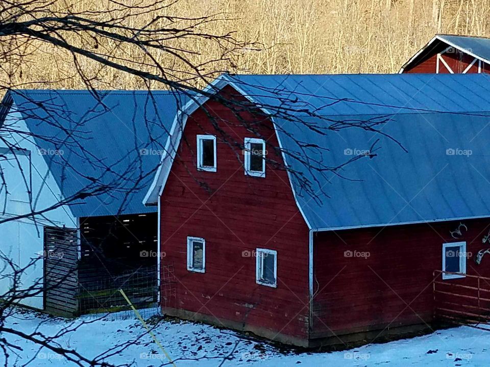 Barn and Sheds