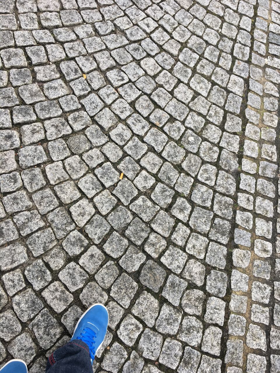 Blue shoes and stone road