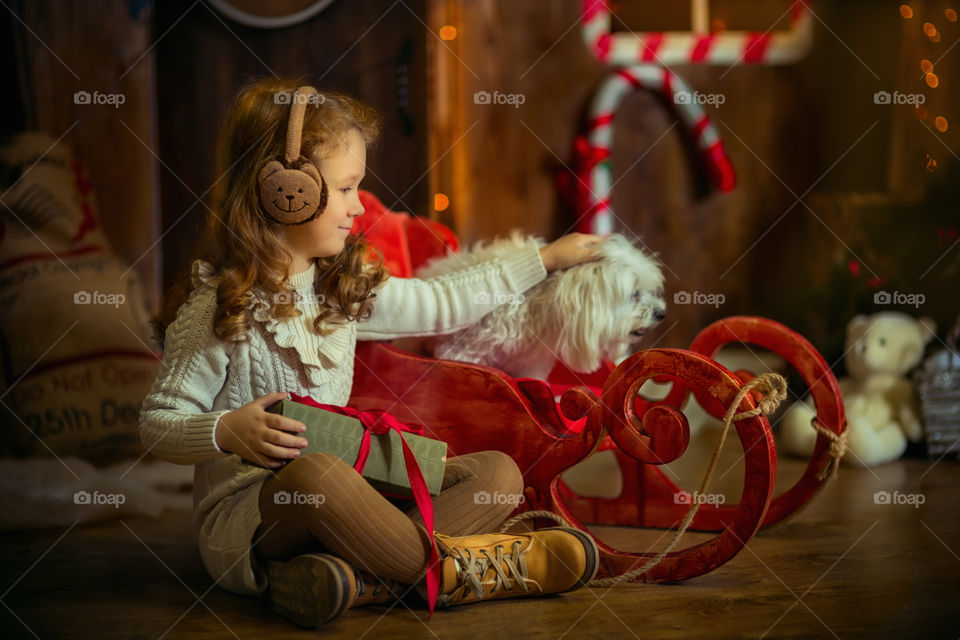Little girl with Maltese dog at Christmas Eve 