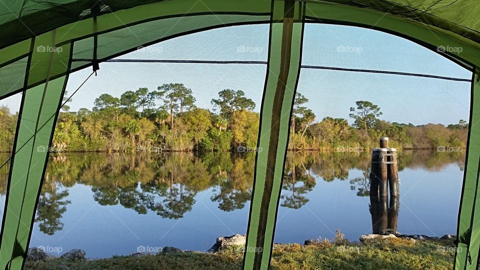 waterfront camping view from a tent of trees reflecting off the water