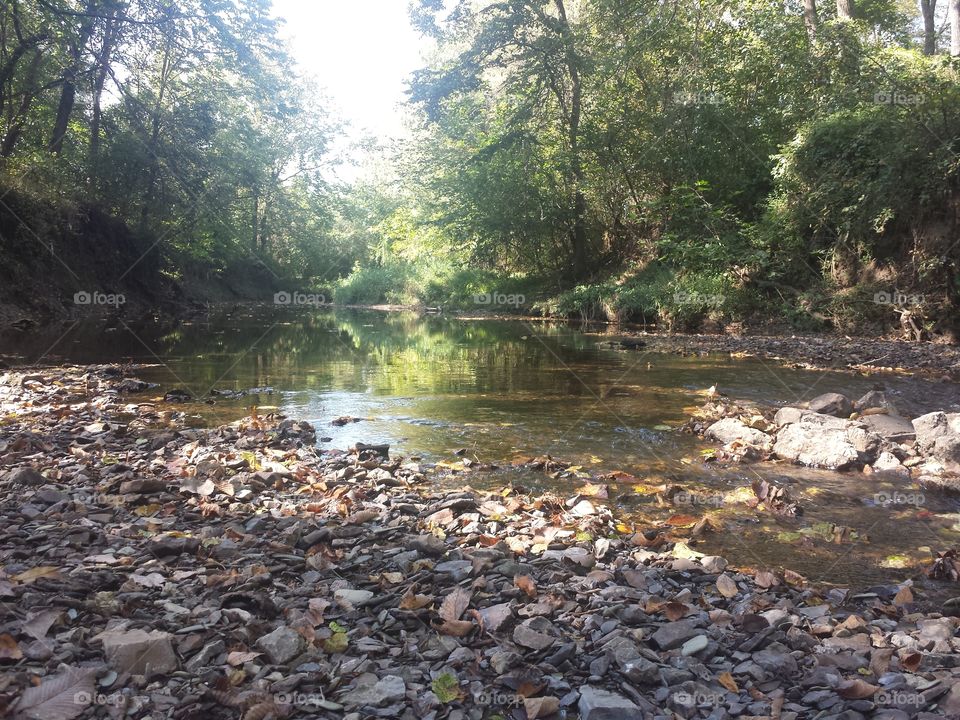 Blue Branch Creek Views
