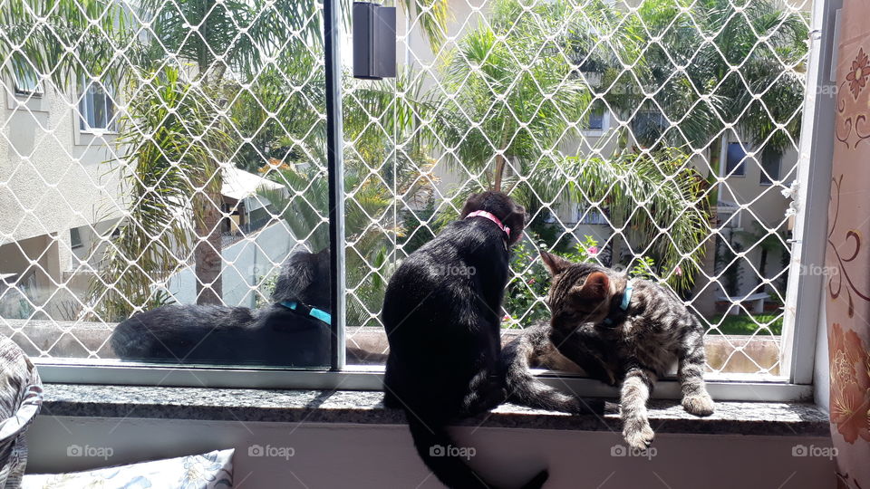 Banguela, Lilith e Mark