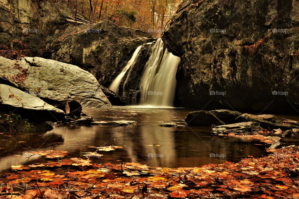 Falls in Fall