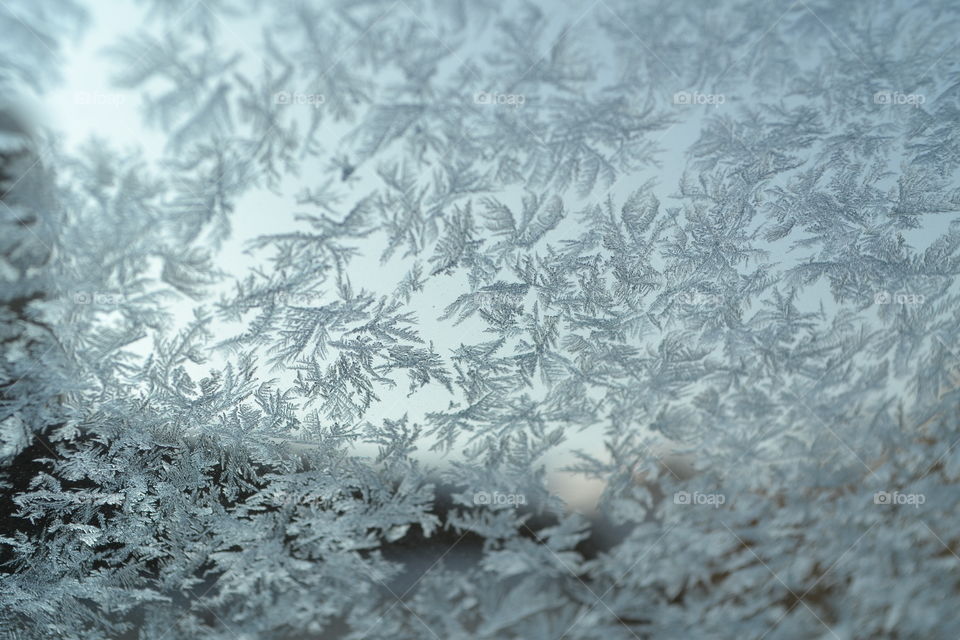 Frosted Window