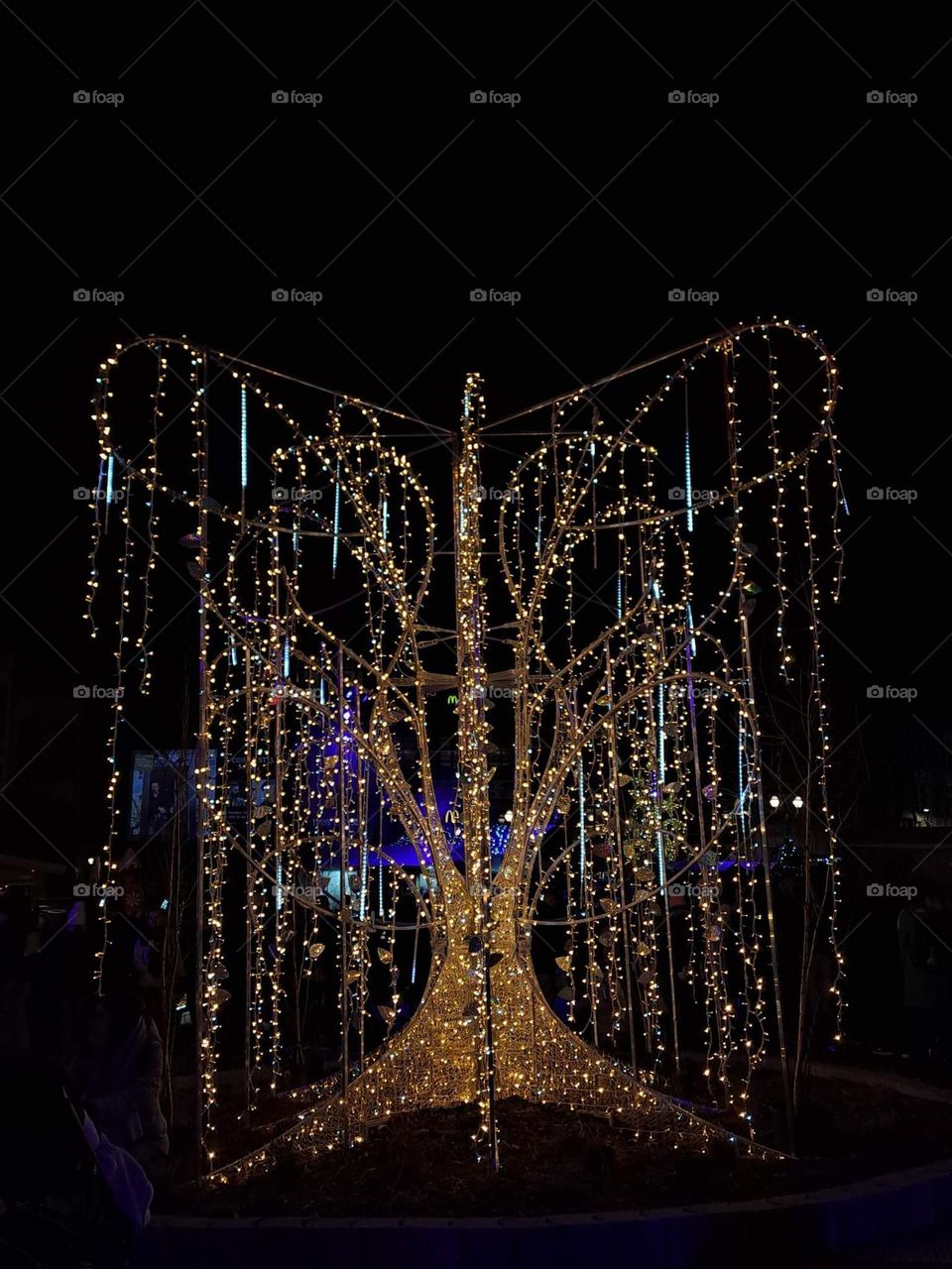 Mons Christmas market