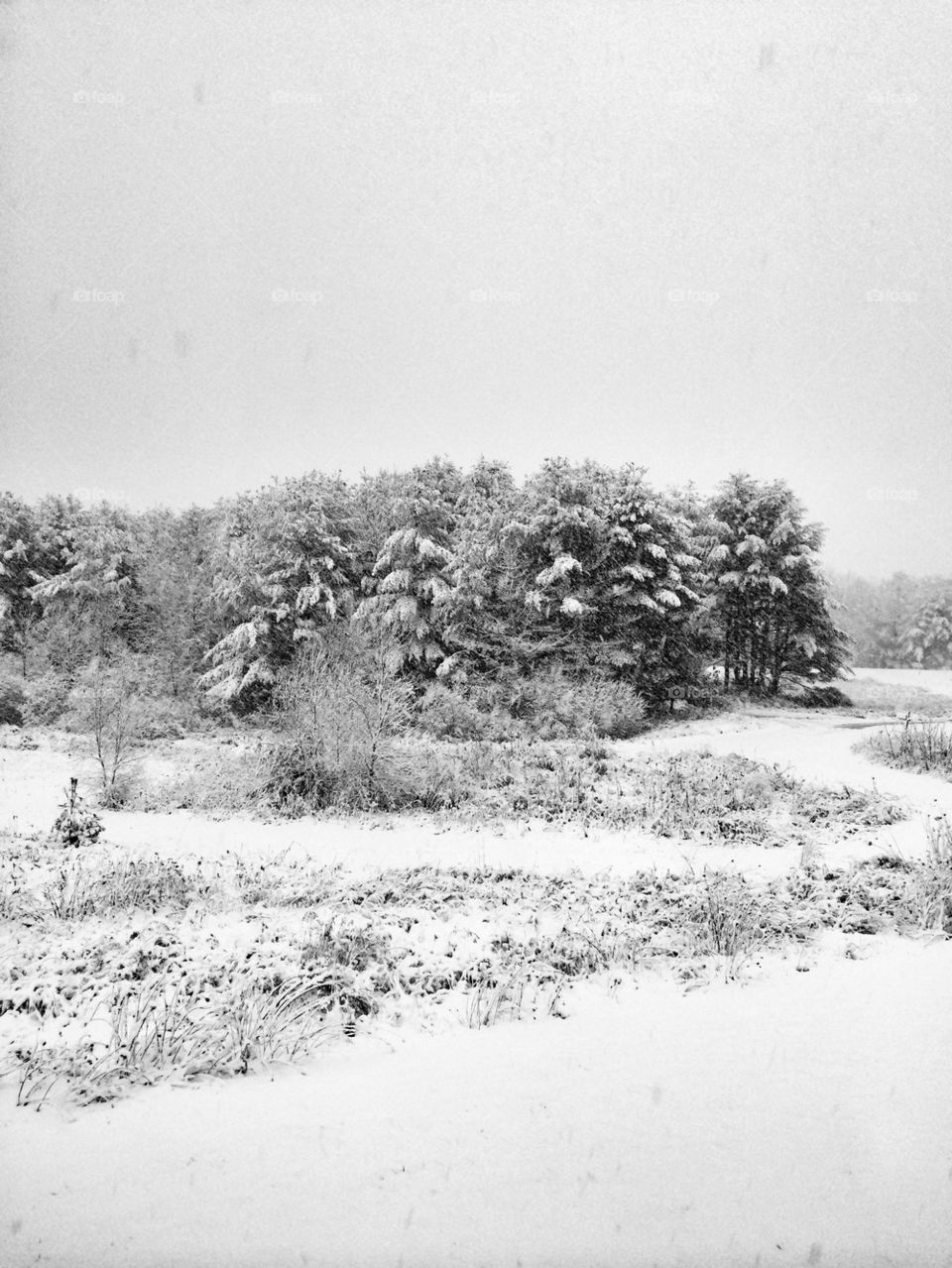 Maine first snow