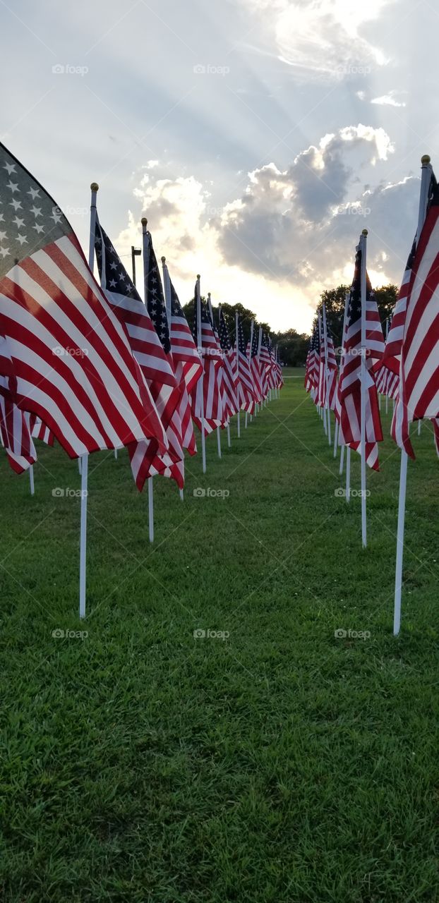 Field of Honor