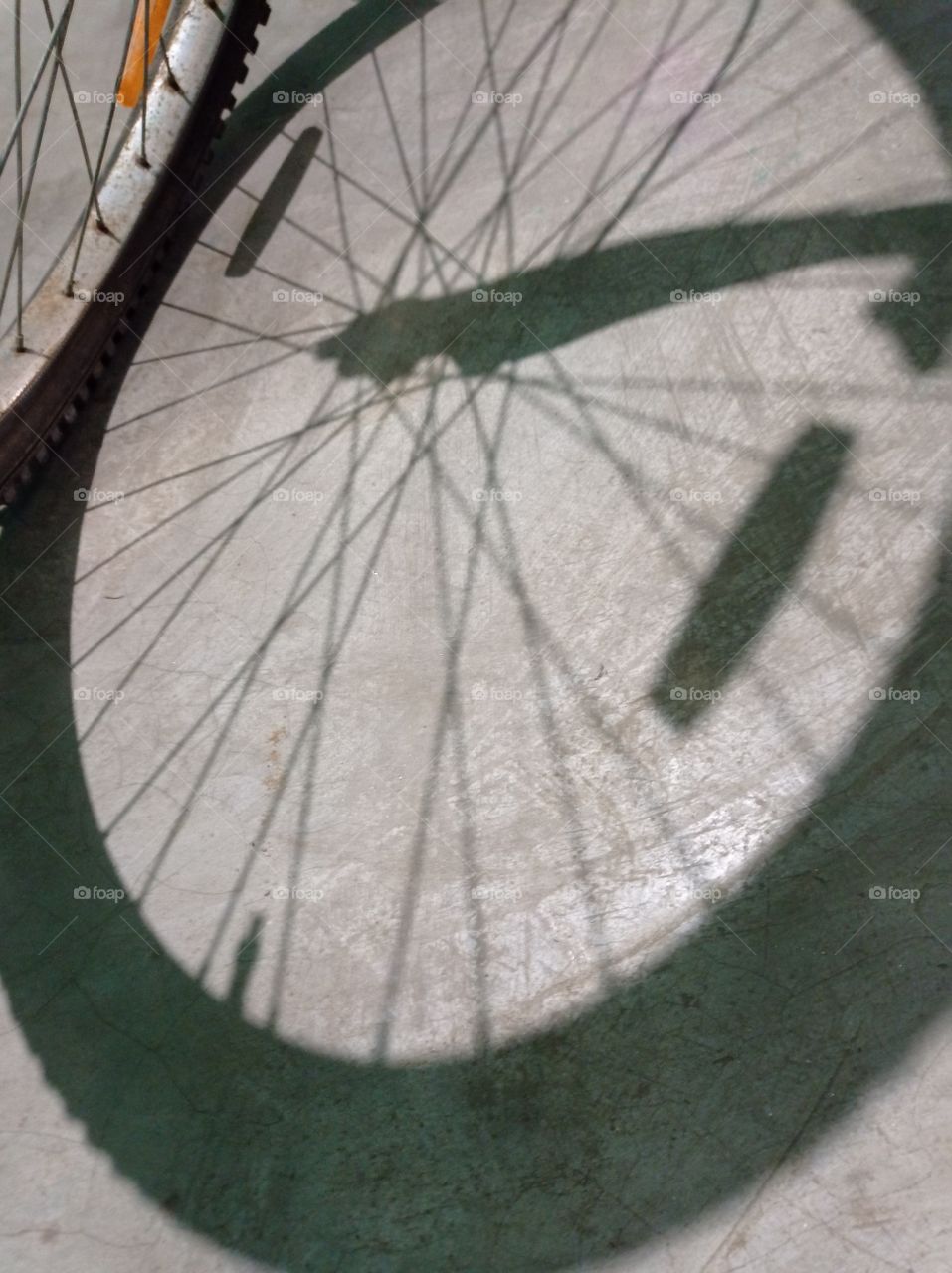 Shadow of cycle wheel