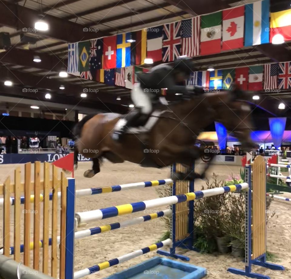 Horse jumping motion