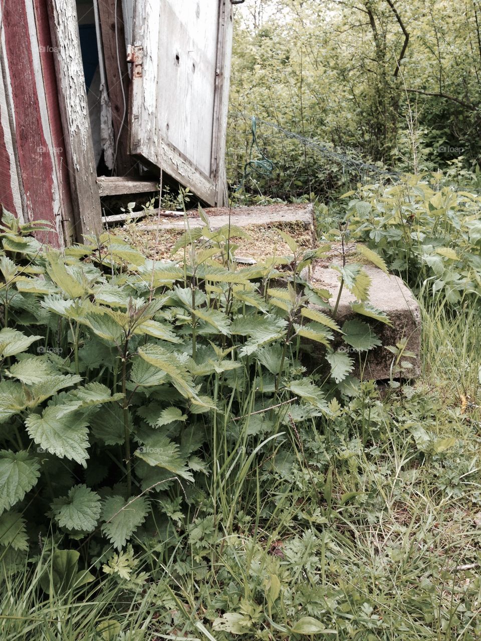 Old things with a story