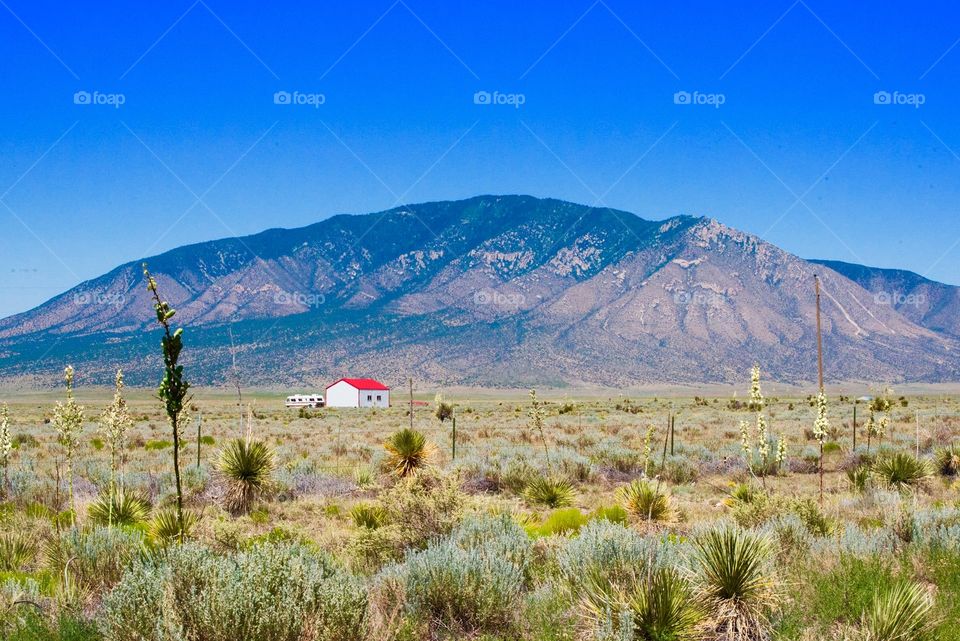 Little red roofed house 
