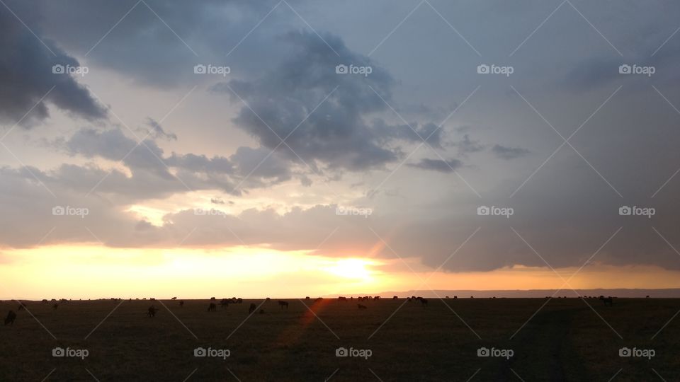 This photo was taken in the Mara Triangle with silhouette wildlife.