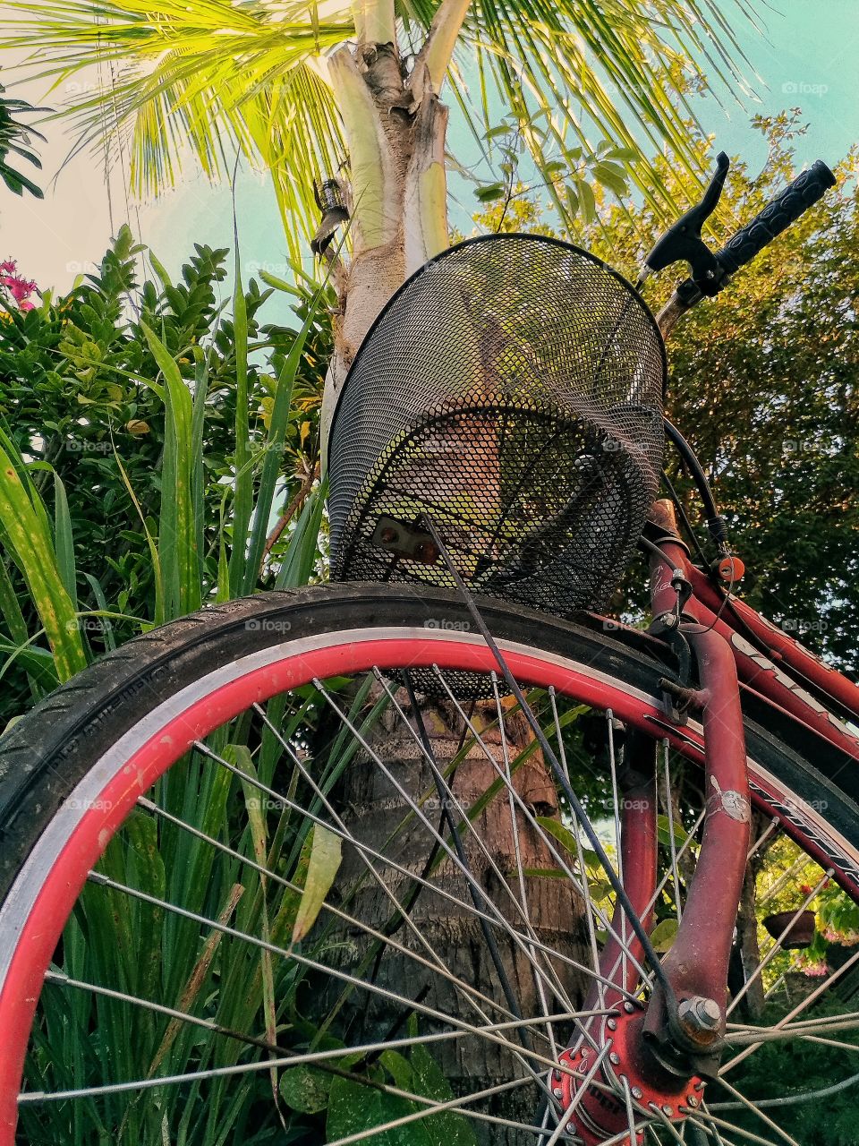 ciclismo ecológico