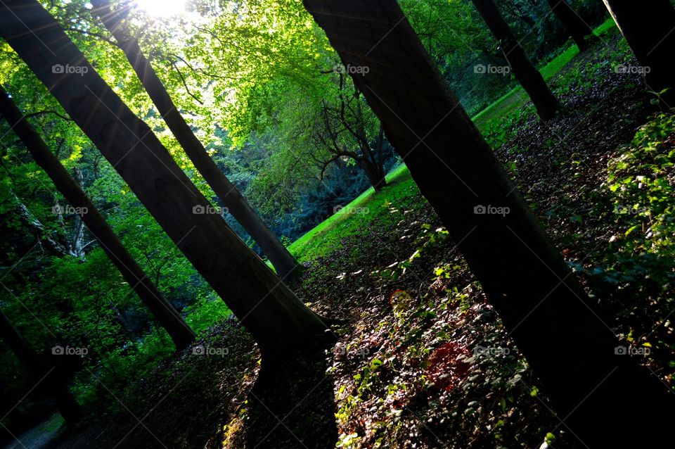 Tiergarten in Berlin