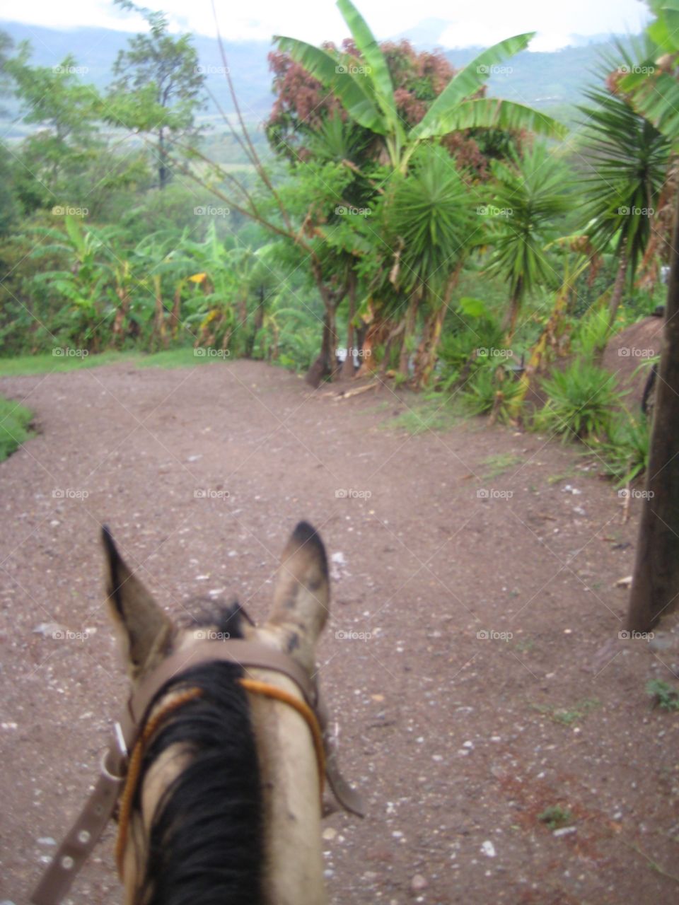 Honduras 