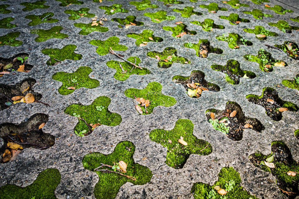 Full frame of pavement in garden