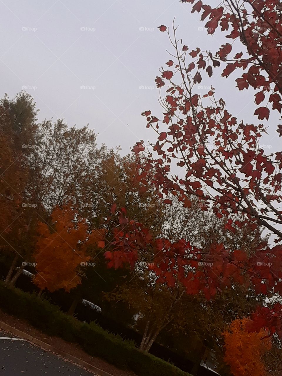 In Love With Fall