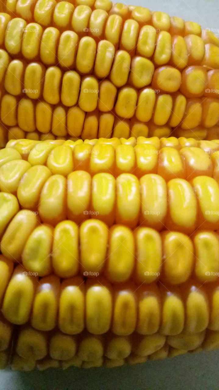 corn