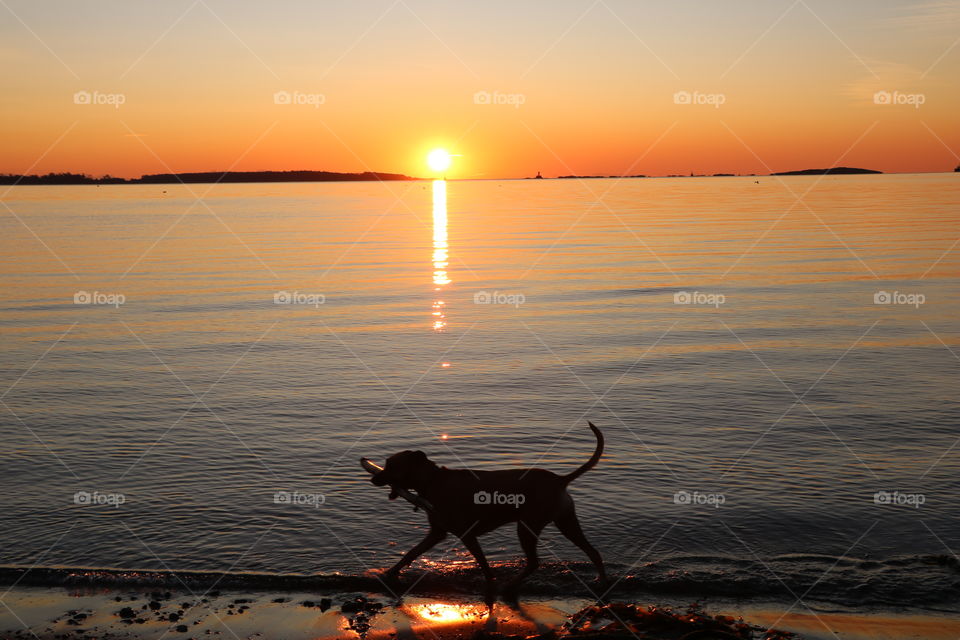 Watching the sun rising above the ocean  while everyone is making their first step into the new day 