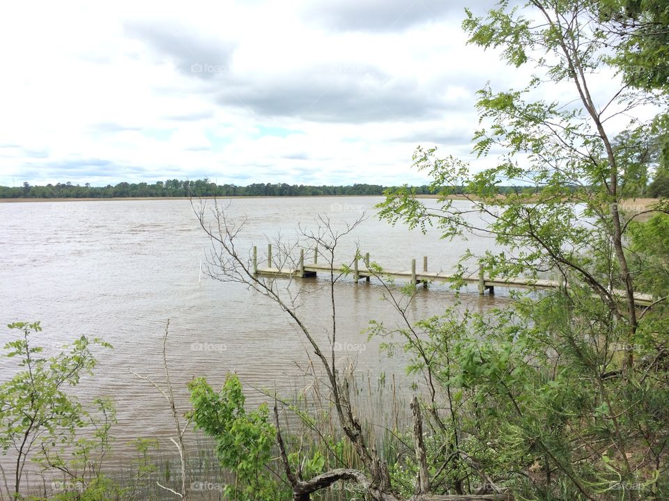 Looking on to the river 