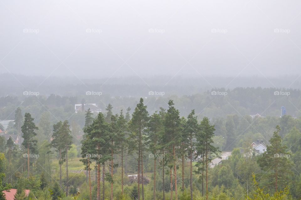 A foggy morning over a village 