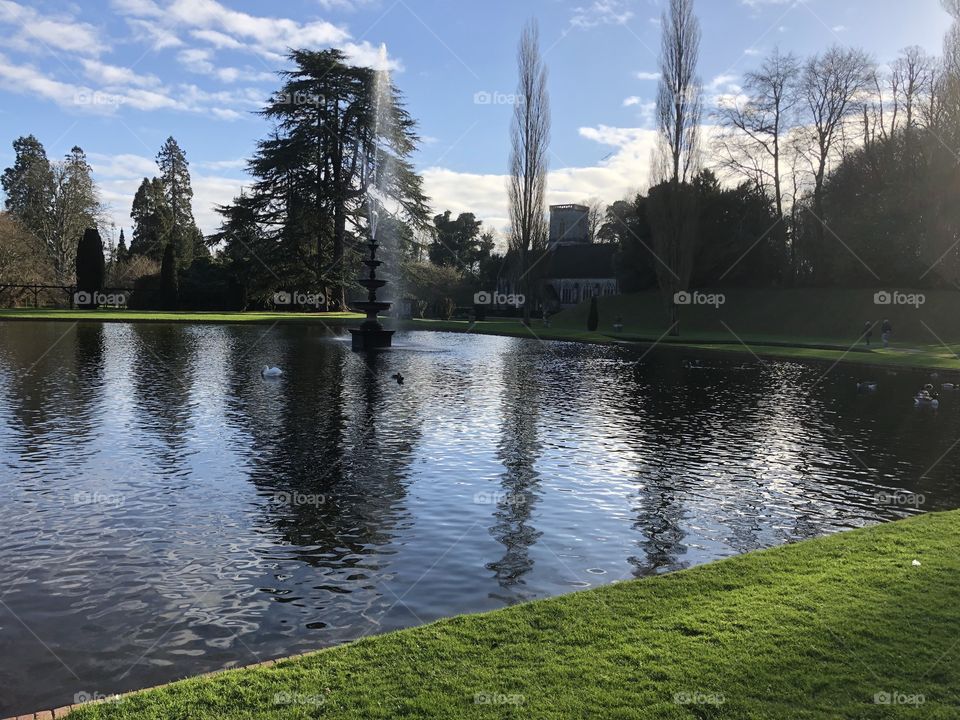Bicton Park, East Devon. In Glorious New Years Day 2019 sunshine.